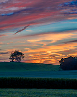 Morrells Hill-56