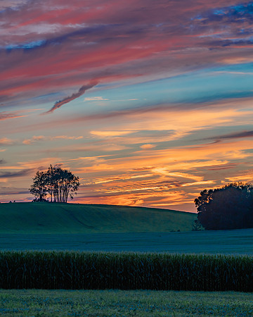 Morrells Hill-56