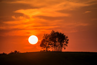 Morrells Hill-23
