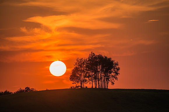 Morrells Hill-23