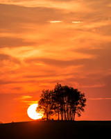 Morrells Hill-24