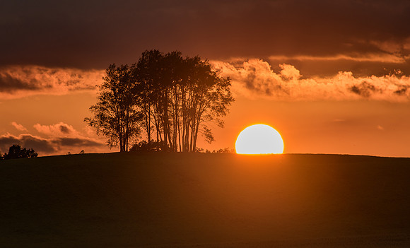 Morrells Hill-65