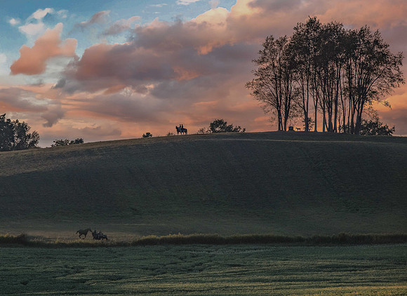 MW2_4341-Edit