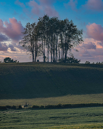 MW2_4302-edit-1