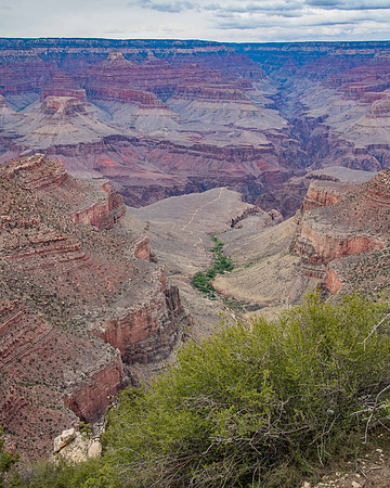 MPW_2219