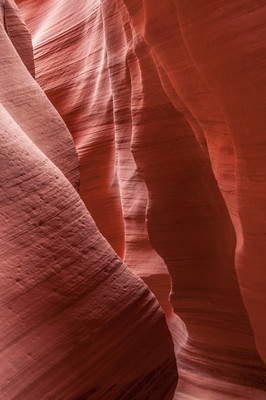 _MPW8017