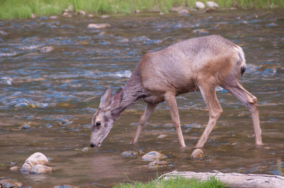 _DSC8202-31