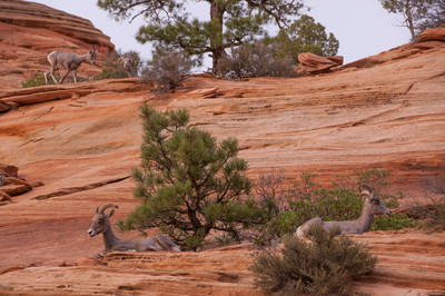 _DSC8434-148