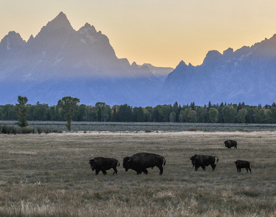tetons 1 9-08 679