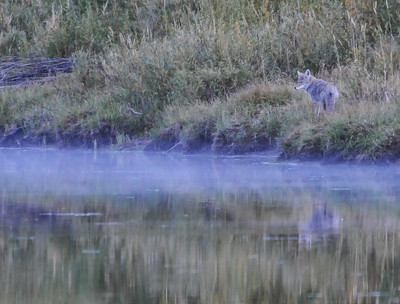 tetons 1 9-08 710