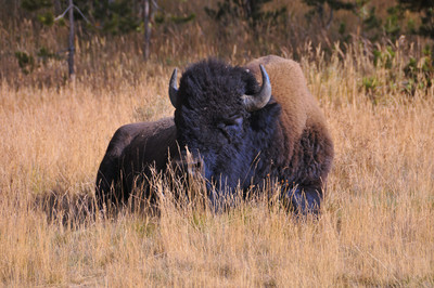 tetons 1 9-08 091