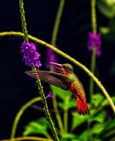 DSC00004