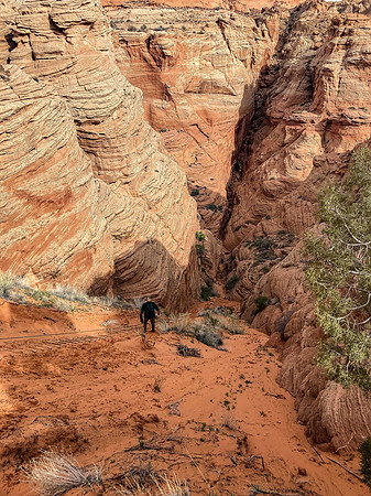Cardiac Canyon 2022-6