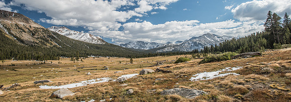 Yose - Tioga Rd. 9-29-17-113