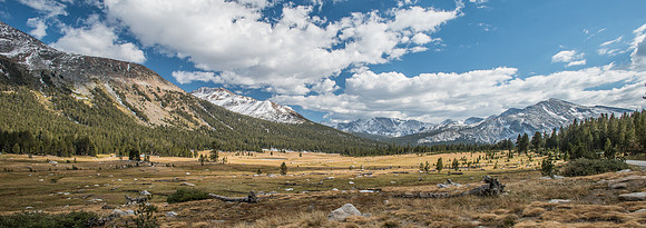 Yose - Tioga Rd. 9-29-17-105