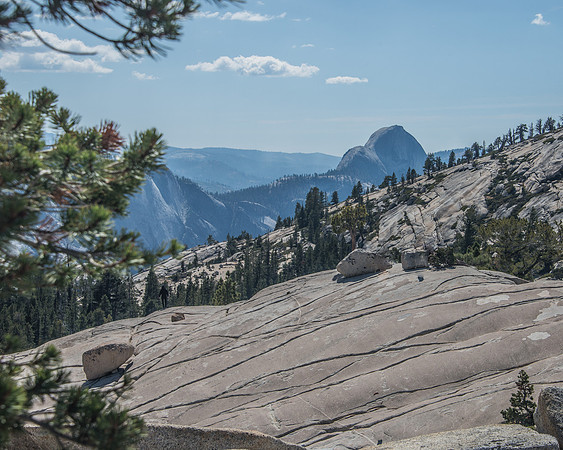 Yose - Tioga Rd. 9-29-17-24