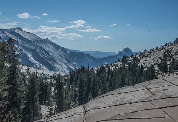 Yose - Tioga Rd. 9-29-17-3