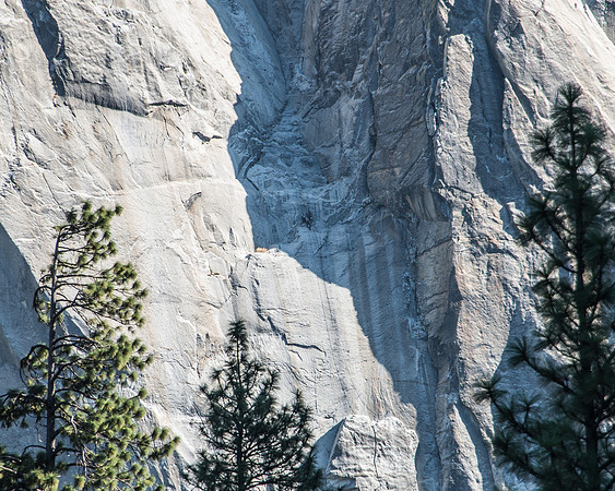 MW1_0720