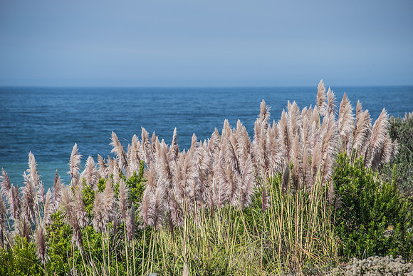 MW1_0224