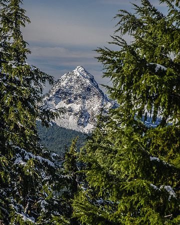 MPW_0253