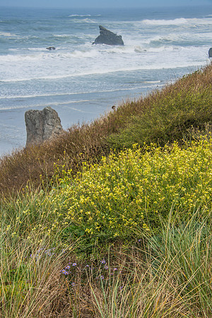 Bandon 9-19-17-106