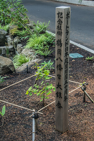 Japanese Garden - 9-16-17-85
