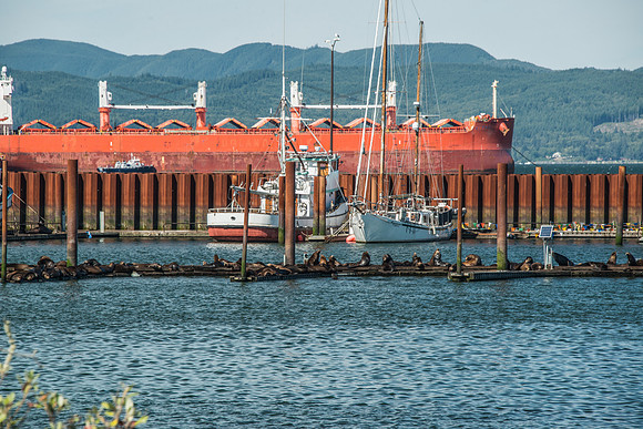 Astoria - 9-15-17-27