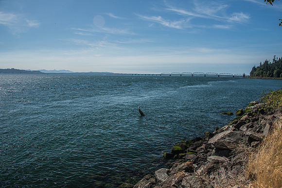 Astoria - 9-15-17-2