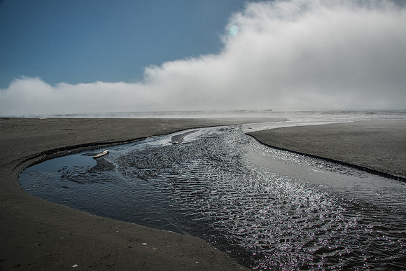 Kalaloch - Oly 9-14-17-20