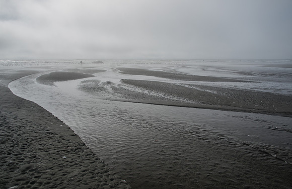 Kalaloch - Oly 9-14-17-9