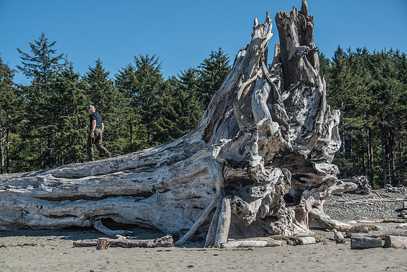 First Beach - Oly 9-14-17-15