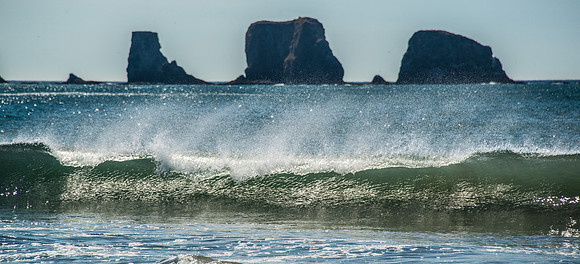 First Beach - Oly 9-14-17-13