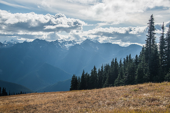 Hurricane Ridge - Oly 9-13-17-1