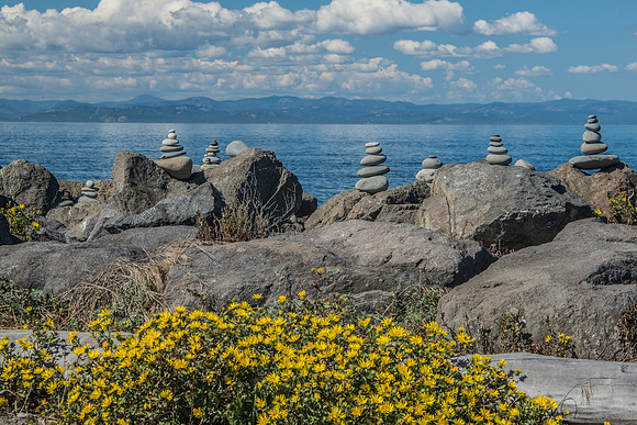 Port Angeles- Oly 9-13-17-25