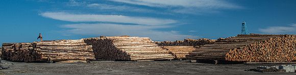 Port Angeles- Oly 9-13-17-19