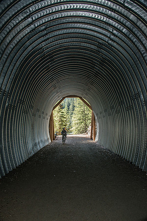 Spruce Trail - Oly 9-13-17-56