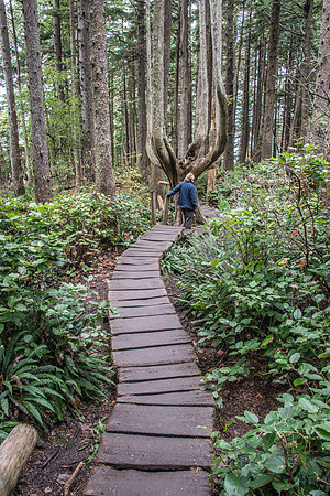 Cape Flattery - Oly - 9-12-17-2