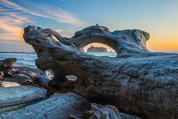 Rialto Beach - Oly - 9-11-17-85