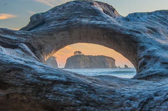 Rialto Beach - Oly - 9-11-17-74