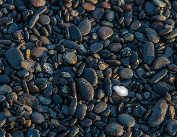 Rialto Beach - Oly - 9-11-17-46