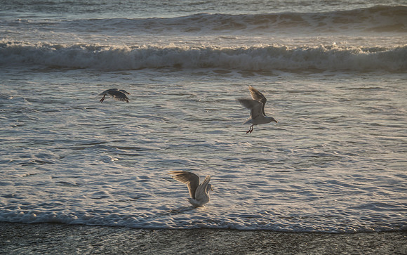Rialto Beach - Oly - 9-11-17-32