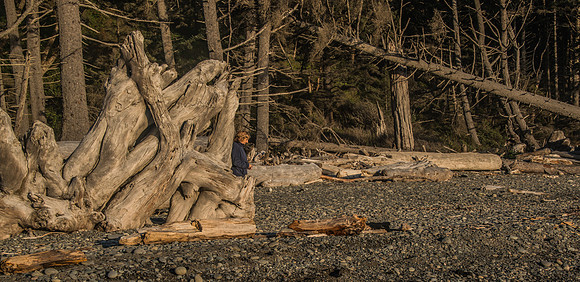 Rialto Beach - Oly - 9-11-17-26