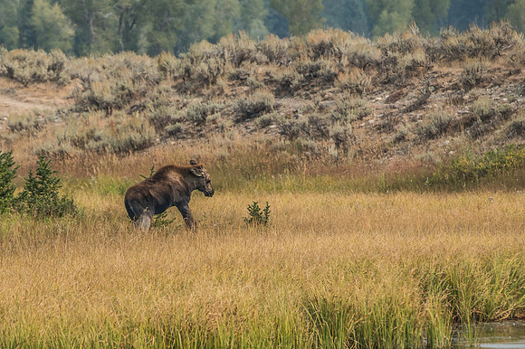 Tetons - Smoke Fest 9-2017-40