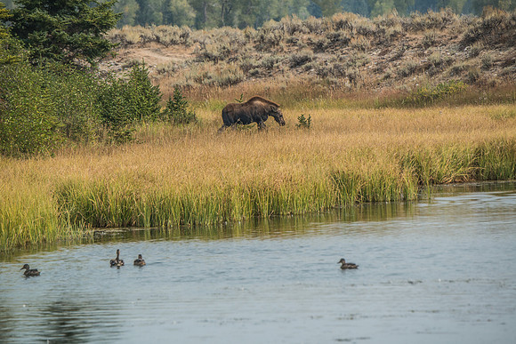 Tetons - Smoke Fest 9-2017-39