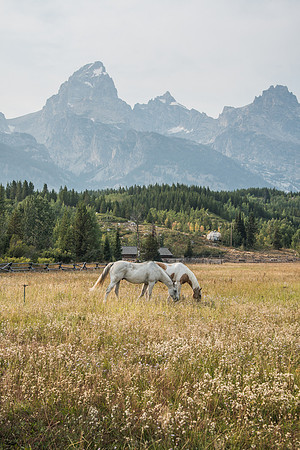 Tetons - Smoke Fest 9-2017-6