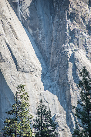 MW1_0726