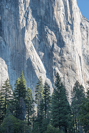MW1_0723