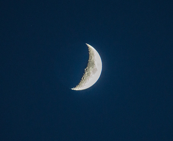 MW1_0499