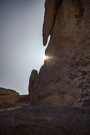 Joshua Tree NP-84