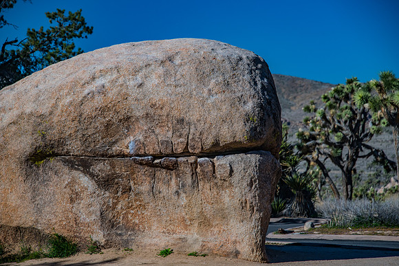 Joshua Tree NP-89
